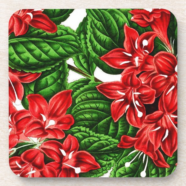 Posavasos Flores de jengibre rojo, impresión vintage (Frente)
