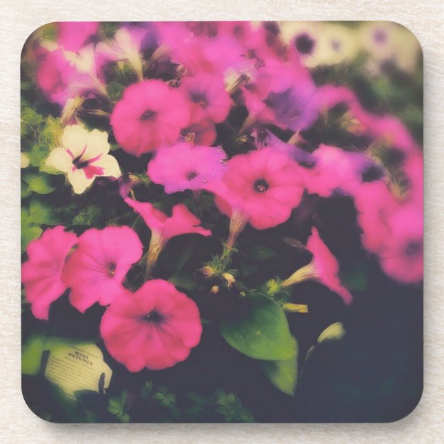 Posavasos Flores de la tienda de comestibles (Frente)