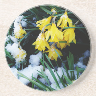 Posavasos Flores de los Daffodils amarillos en la nieve