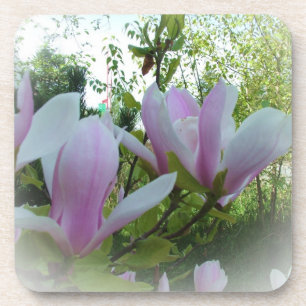 Posavasos flores de magnolia de primavera