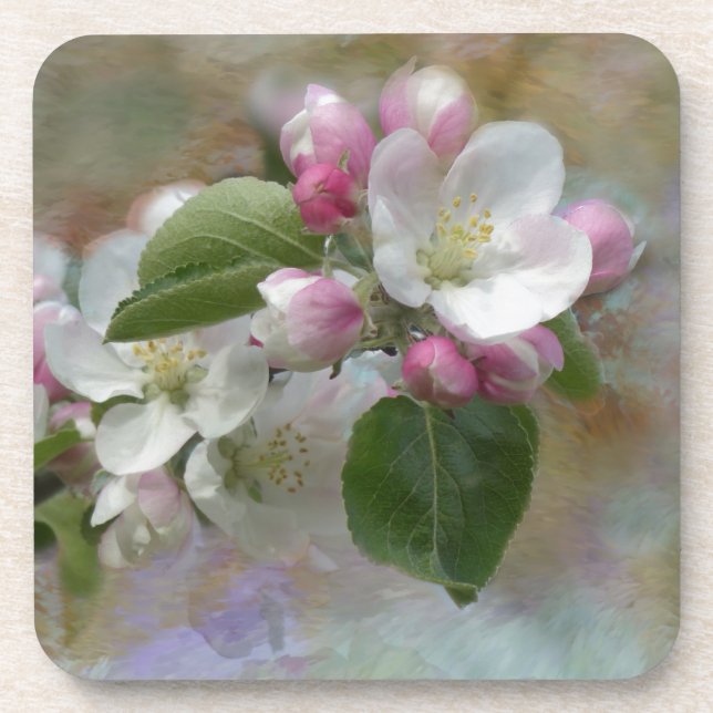 Posavasos Flores de manzana (Frente)