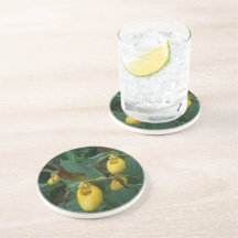 Flores de orquídeas de grupo de damas amarillas