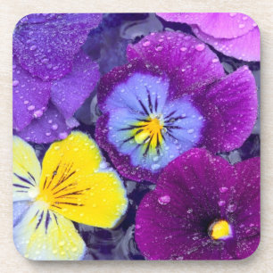 Posavasos Flores de pensamiento flotando en baño de pájaros