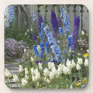 Posavasos Flores de primavera a lo largo de un camino de jar