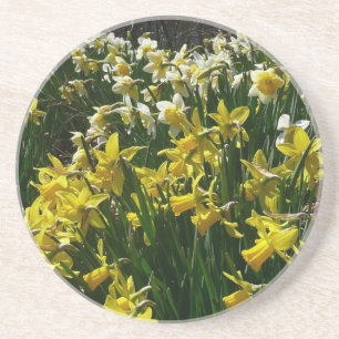 Posavasos Flores de primavera de los Daffodils amarillos y b
