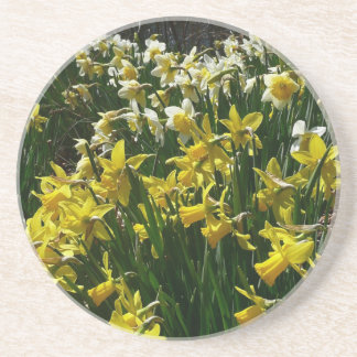 Posavasos Flores de primavera de los Daffodils amarillos y b