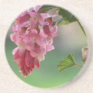 Posavasos flores de primavera, Pascua, primavera, naturaleza