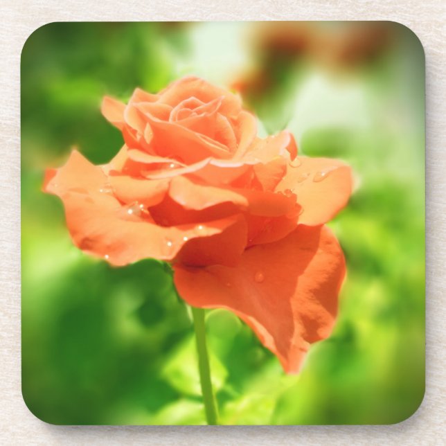 Posavasos Flores de Rosa románticas #2 (Frente)