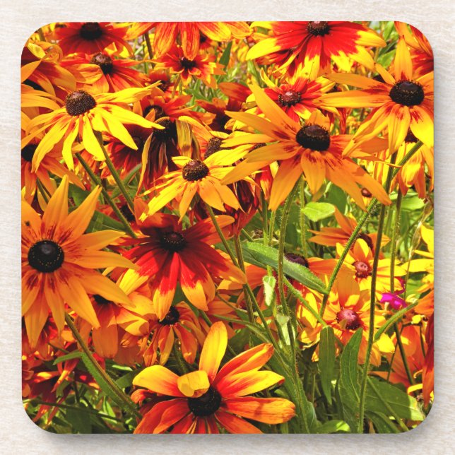 POSAVASOS FLORES DE RUDBECKIA (Frente)