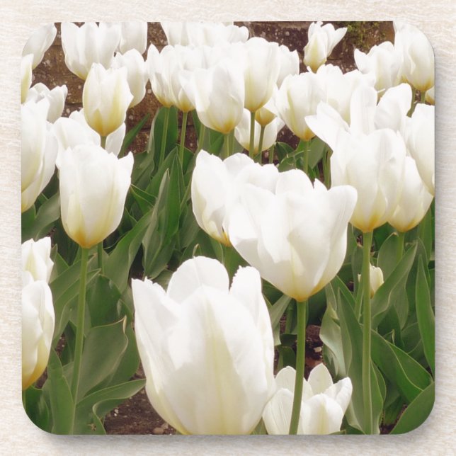 Posavasos Flores de tulipanes blancos (Frente)