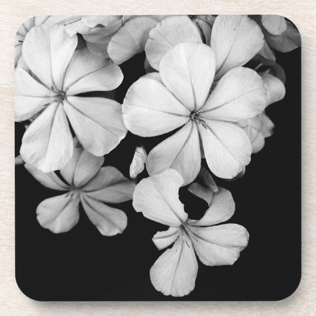 Posavasos Flores en blanco y negro en primer plano (Frente)