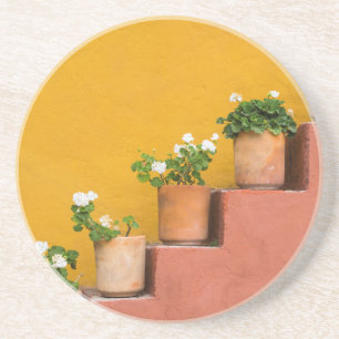 Posavasos Flores en macetas en la escalera