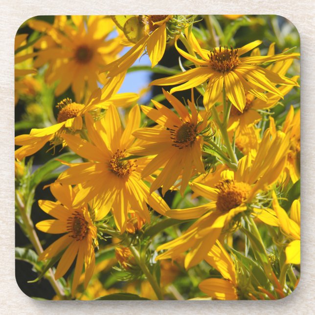 Posavasos Flores en mi hierbas " flores en mi hierba " (Frente)