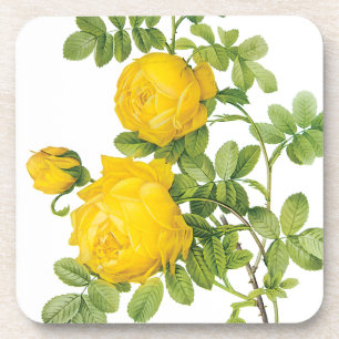 Posavasos Flores Florales Vintage, Rosas Amarillas por Redou
