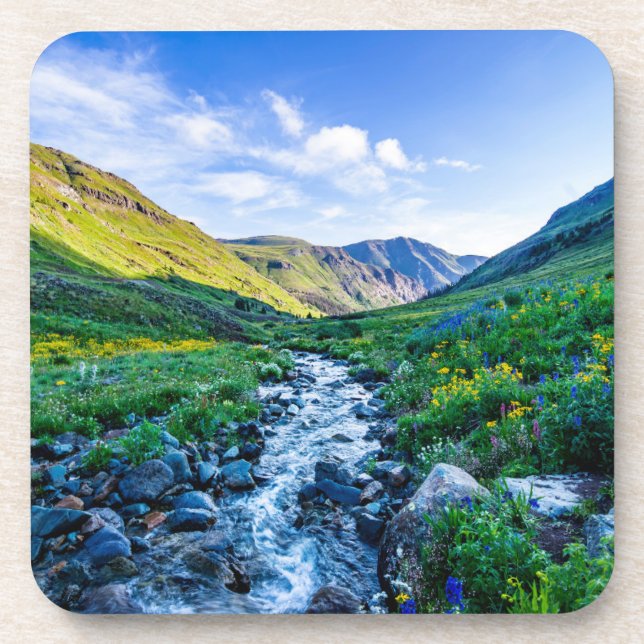 Posavasos Flores | Flores silvestres en Colorado (Frente)