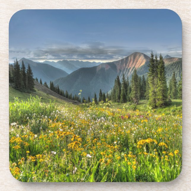 Posavasos Flores | Flores silvestres Silverton Colorado (Frente)