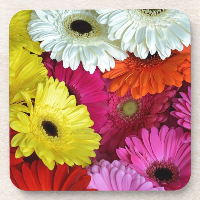 Posavasos Flores germánicas coloridas (Frente)