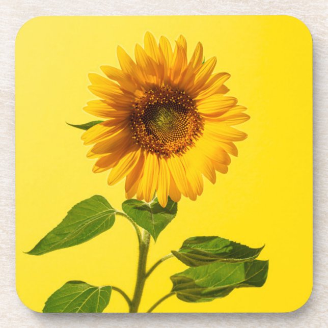 Posavasos Flores | Girasol amarillo (Frente)