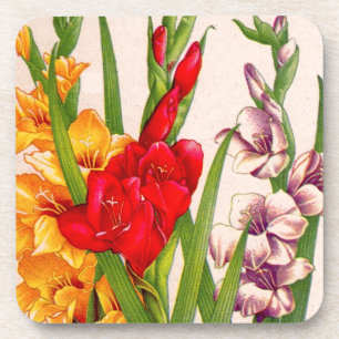 Posavasos flores gladiola flores gladiolos