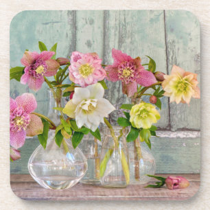 Posavasos Flores Hellebores en vasos