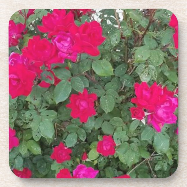Posavasos Flores Hermosas (Frente)