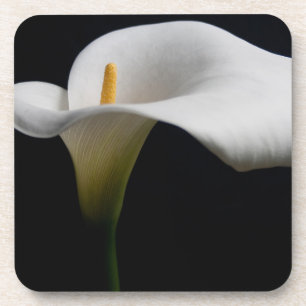 Posavasos Flores Lirio de Calla Blanca