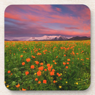 Posavasos Flores   Montañas de campo de flores silvestres cu