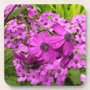 Posavasos Flores moradas de San Francisco