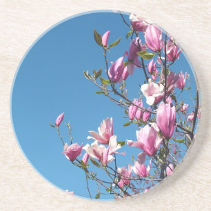 Posavasos flores moradas y rosas, magnolia, cielo azul