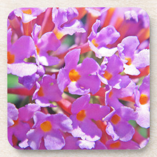Posavasos Flores morenas raras