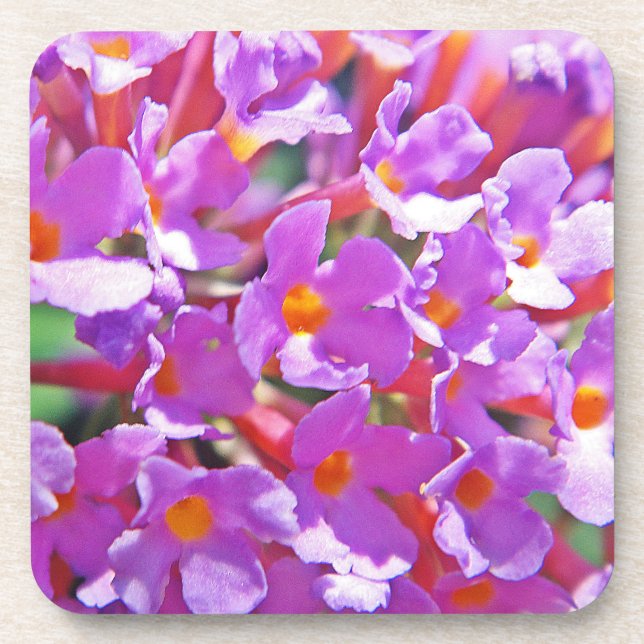 Posavasos Flores morenas raras (Frente)
