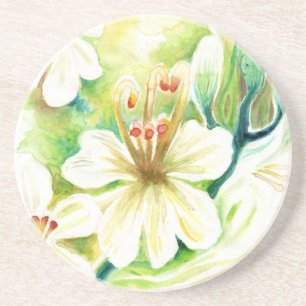 Posavasos Flores moringa