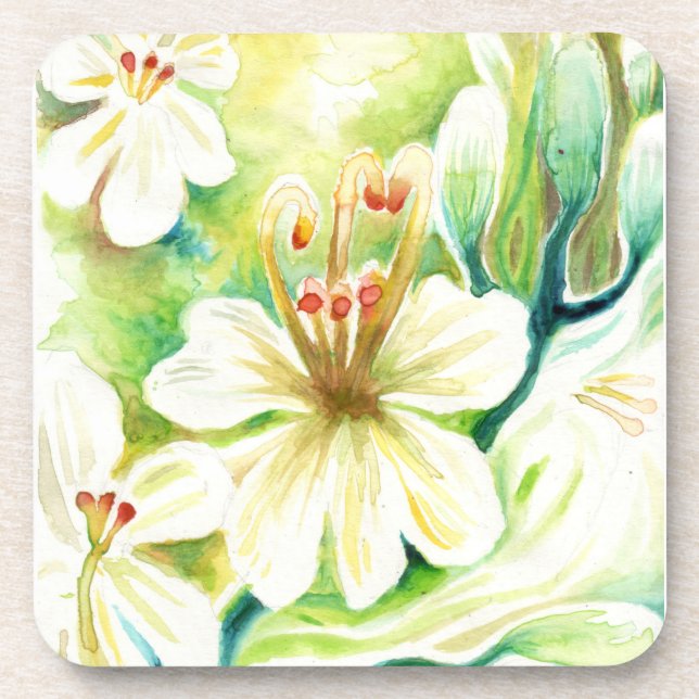 Posavasos Flores moringa (Frente)