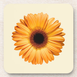 Posavasos Flores   Naranja Gerbera
