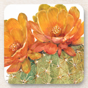 Posavasos Flores Naranjas Cactus