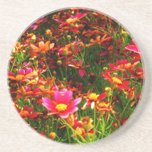 Posavasos Flores negras rosadas y amarillas Daisy Wild