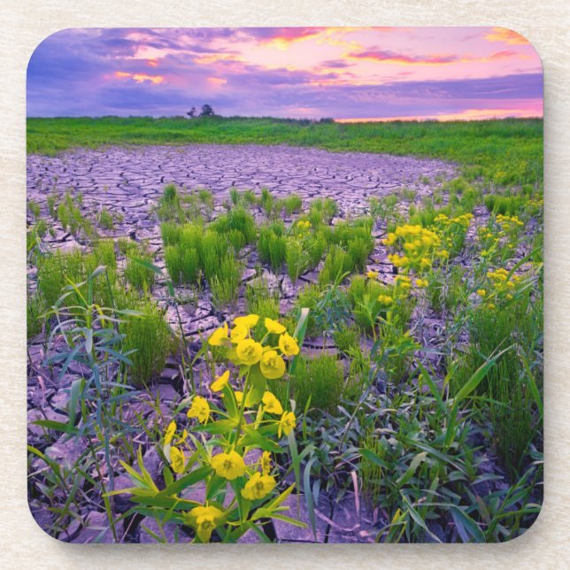 Posavasos Flores | North Dakota Red River Valley (Frente)