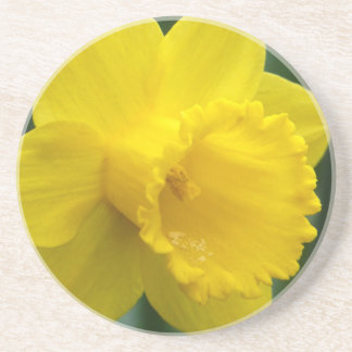 Posavasos Flores Primaverales Monador de Flores de Daffoldil