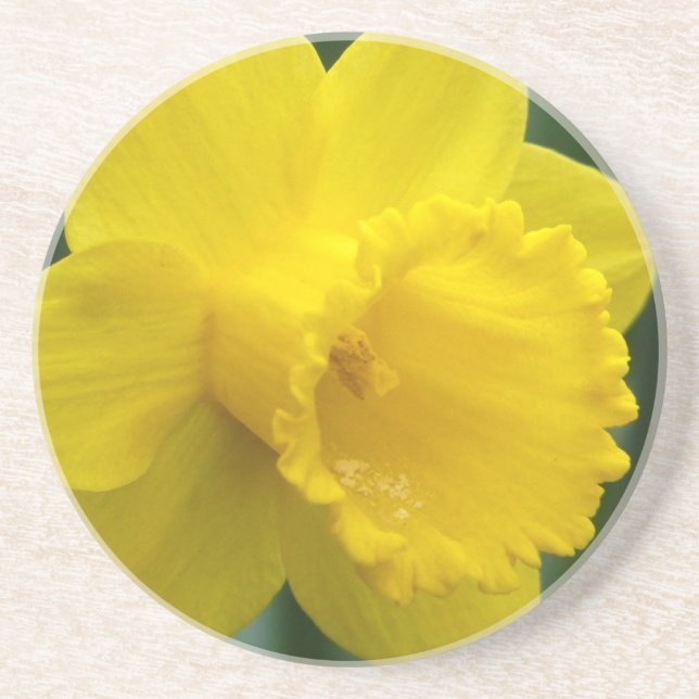 Posavasos Flores Primaverales Monador de Flores de Daffoldil (Frente)