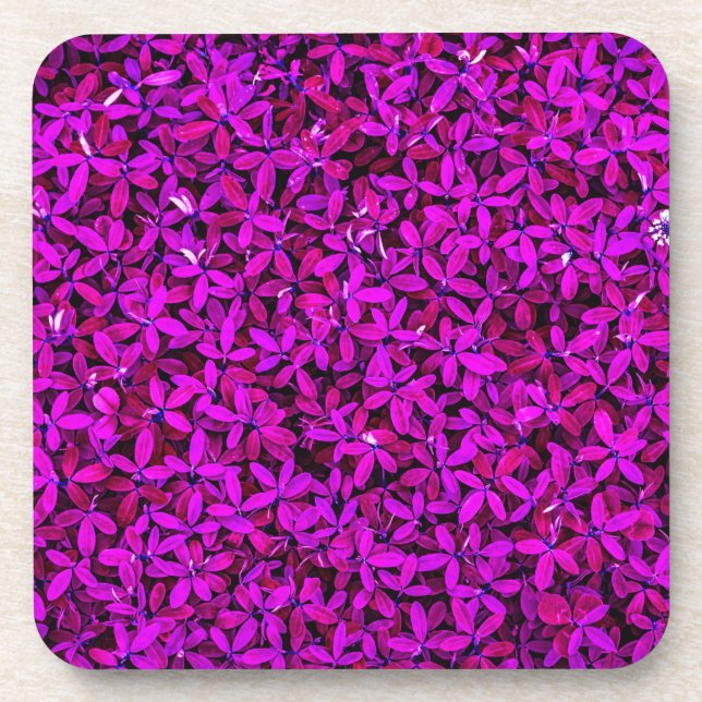 Posavasos Flores puras-23209 (Frente)