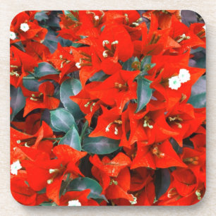 Posavasos Flores rojas vibrantes del Bougainvillea
