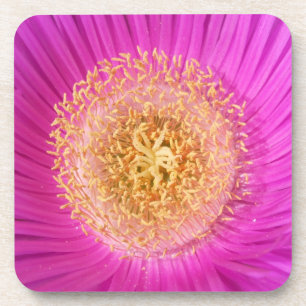 Posavasos Flores rosa brillante