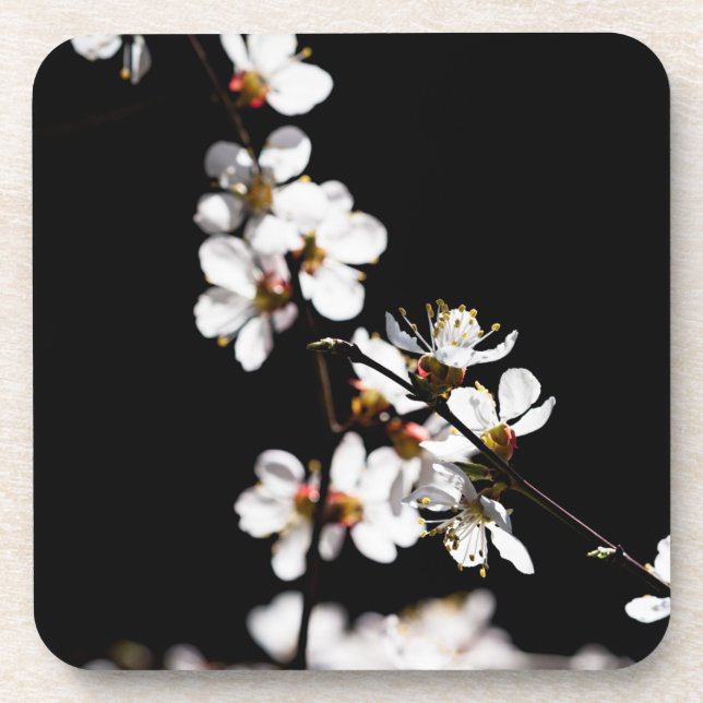 Posavasos Flores sakura (Frente)