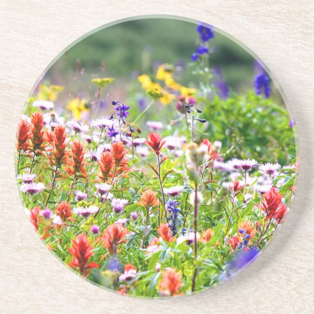 Posavasos Flores silvestres (Frente)