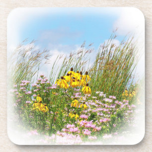 Posavasos Flores silvestres 11 galletas