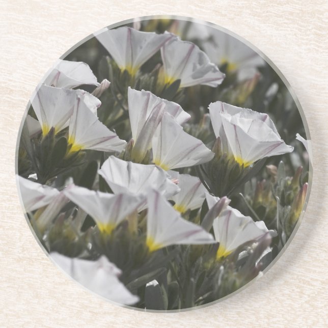Posavasos Flores silvestres blancas (Frente)