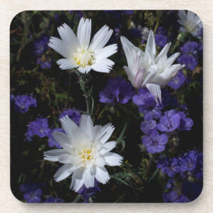 Posavasos Flores silvestres de achicoria y Phacelia
