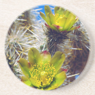 Posavasos Flores silvestres de cactus Cholla de plata