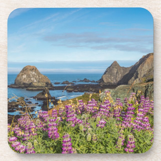 Posavasos Flores Silvestres De Lupine Cubren Las Colinas (Frente)