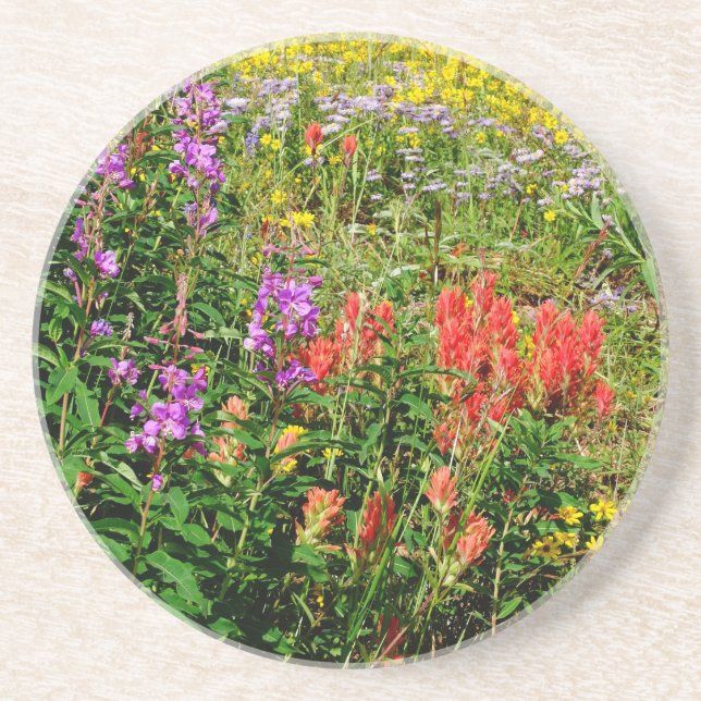 Posavasos Flores silvestres de Montaña Rocosa (Frente)